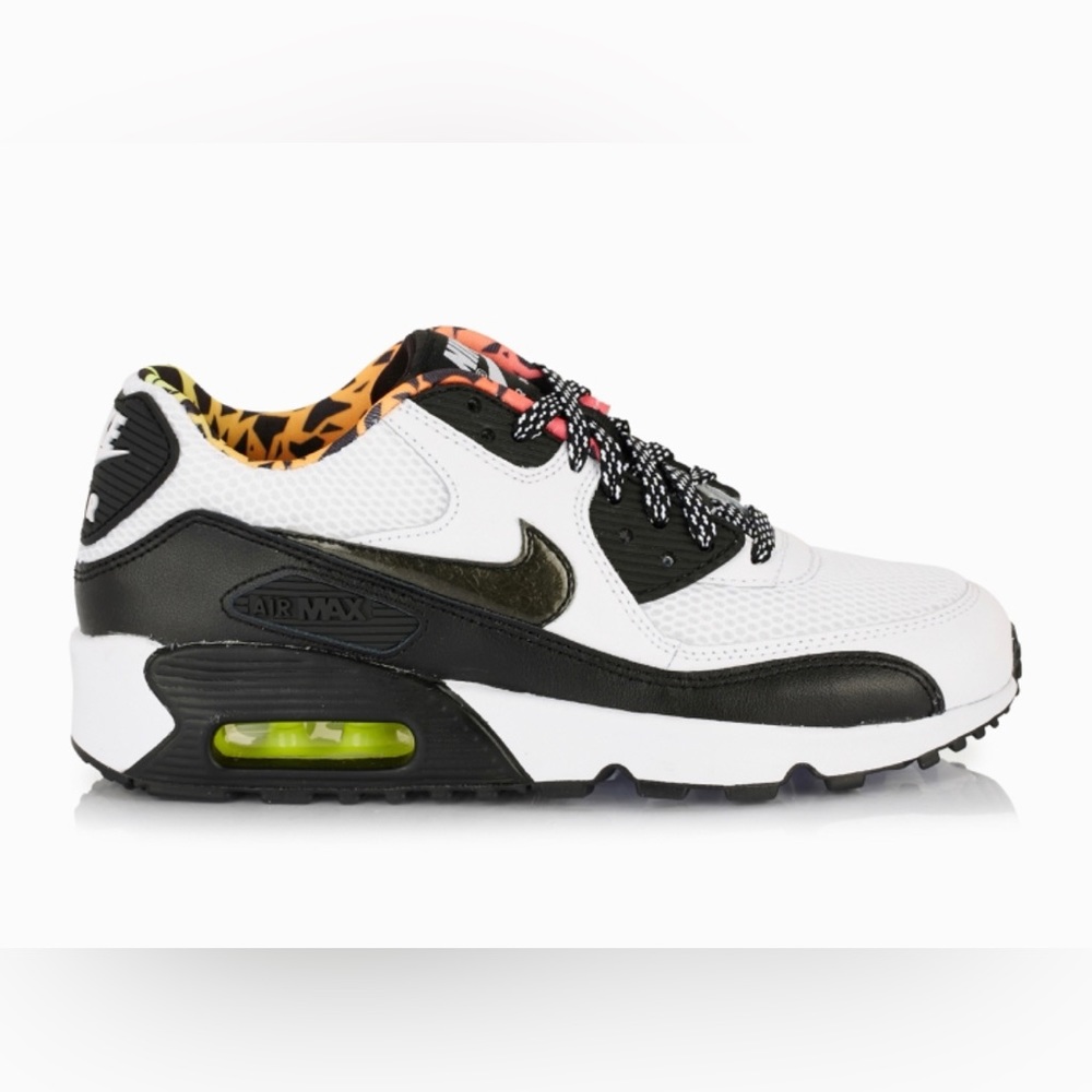 Nike Air Max